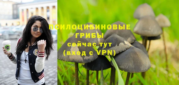 МДПВ Куйбышев