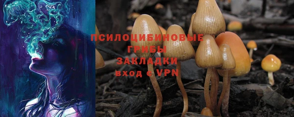 МДПВ Куйбышев